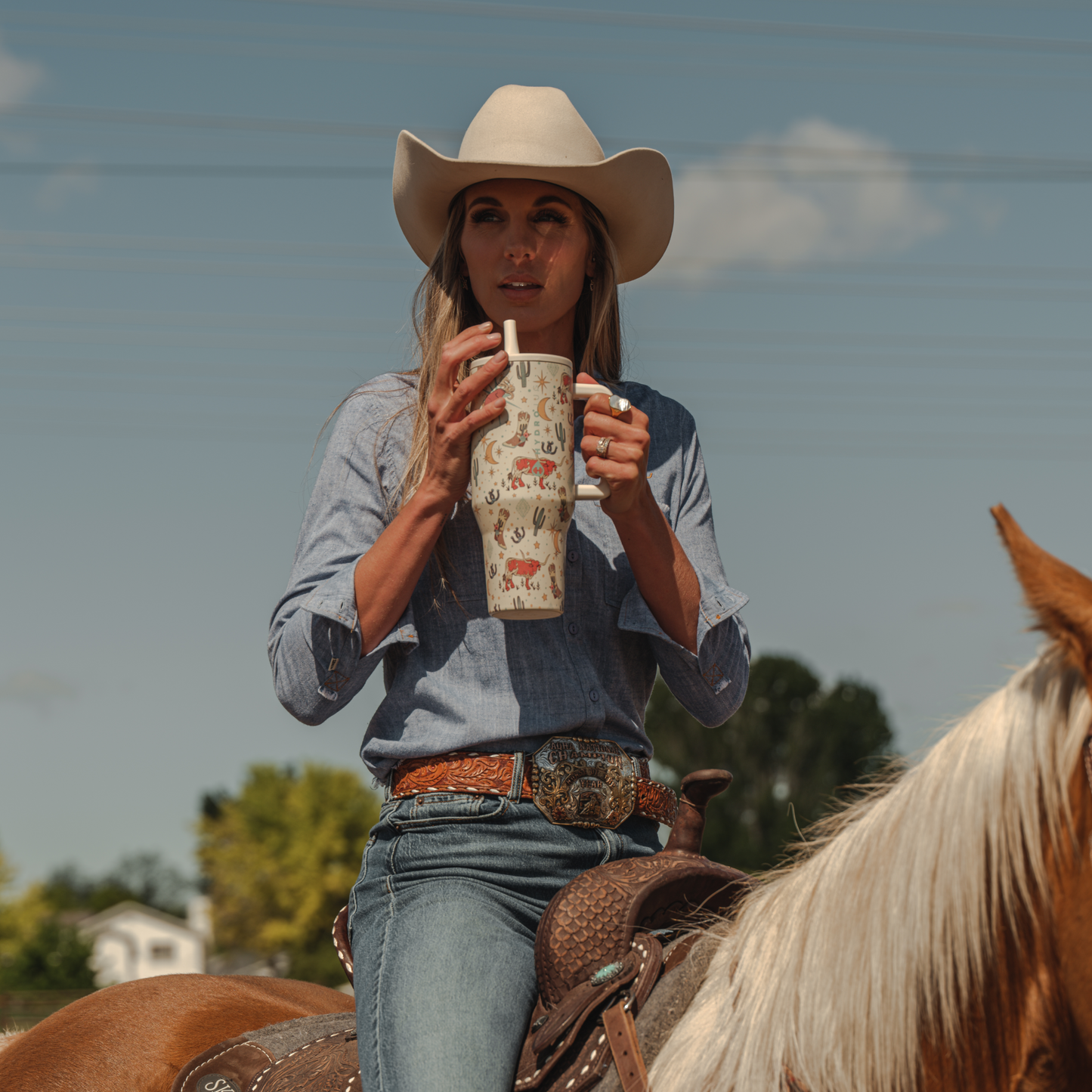 rodeo-t2 TRVL-Rodeo-6WPI.png