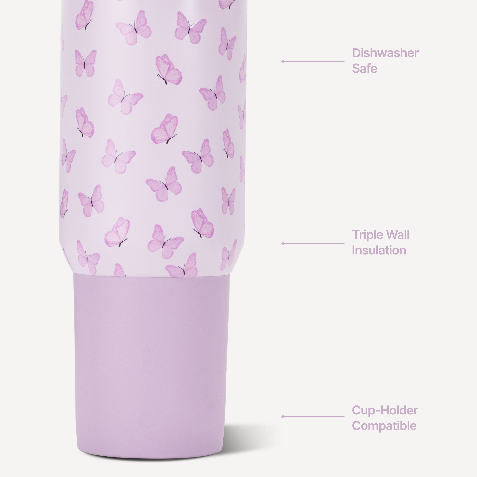 flutter-b4 Sport20-Flutter-3-WPI.png
