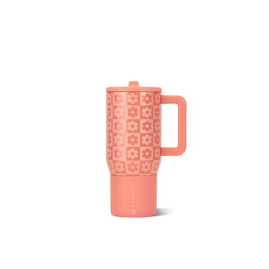 daisy-checkers-p6 TRVL20-DaisyChecker-1-WPI.png